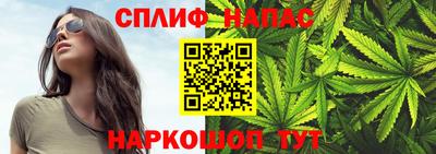 стаф Обнинск