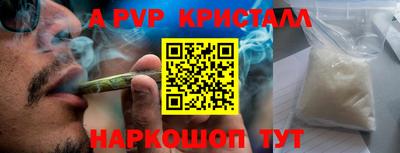 стаф Обнинск