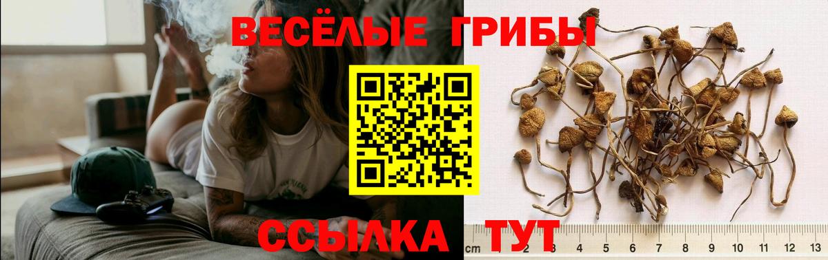 Псилоцибиновые грибы MAGIC MUSHROOMS  Вход с VPN  Псилоцибиновые грибы Cubensis  Рузаевка 
